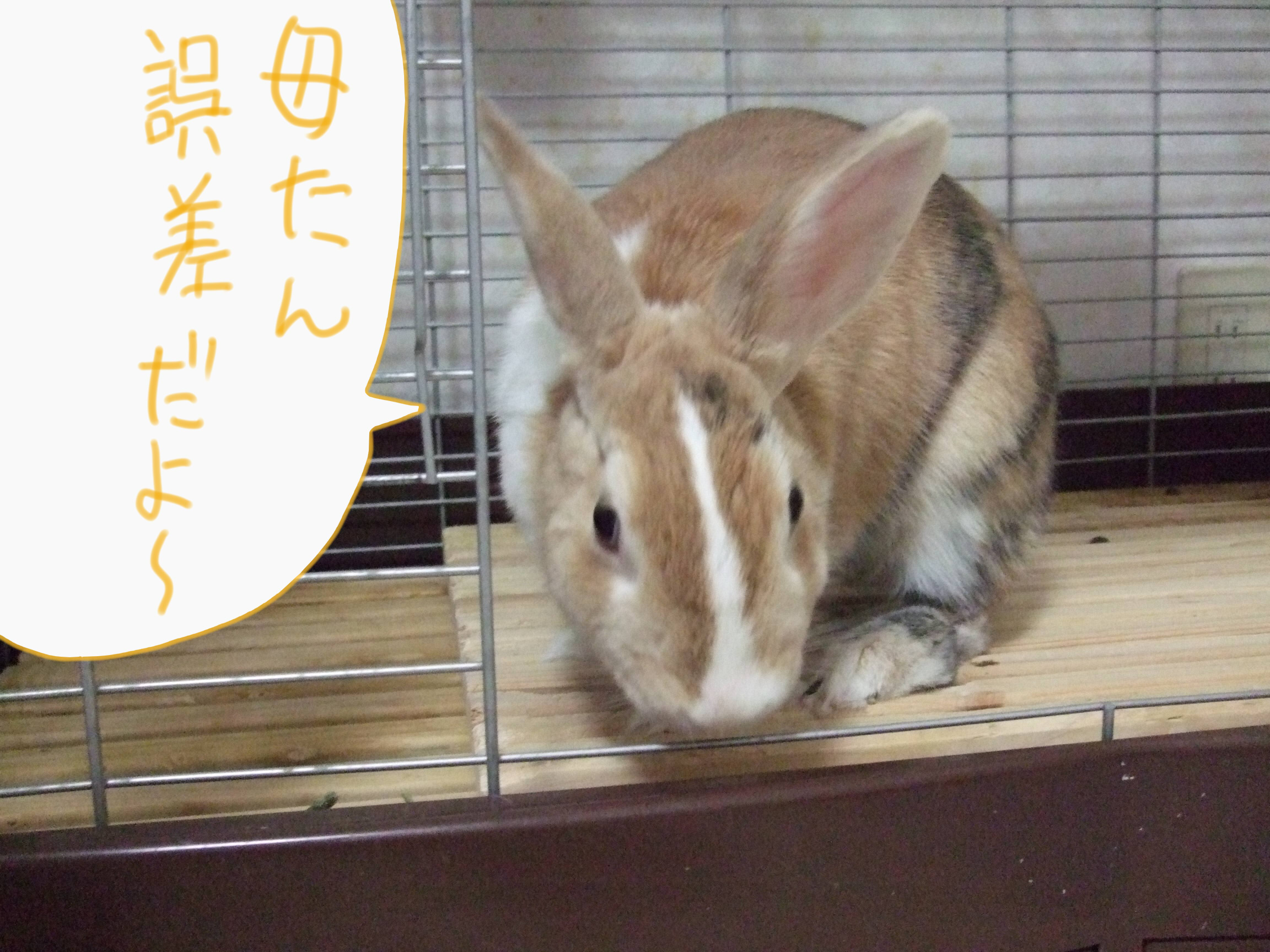 DSCF3897
