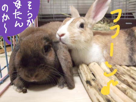 BlogPaint