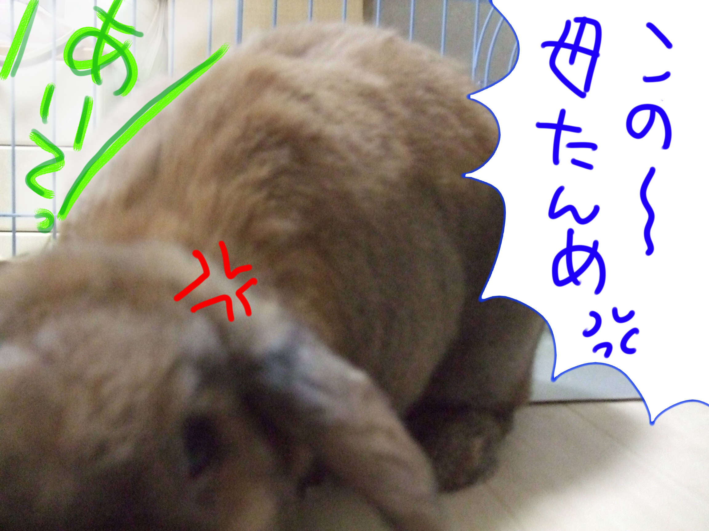 DSCF3902
