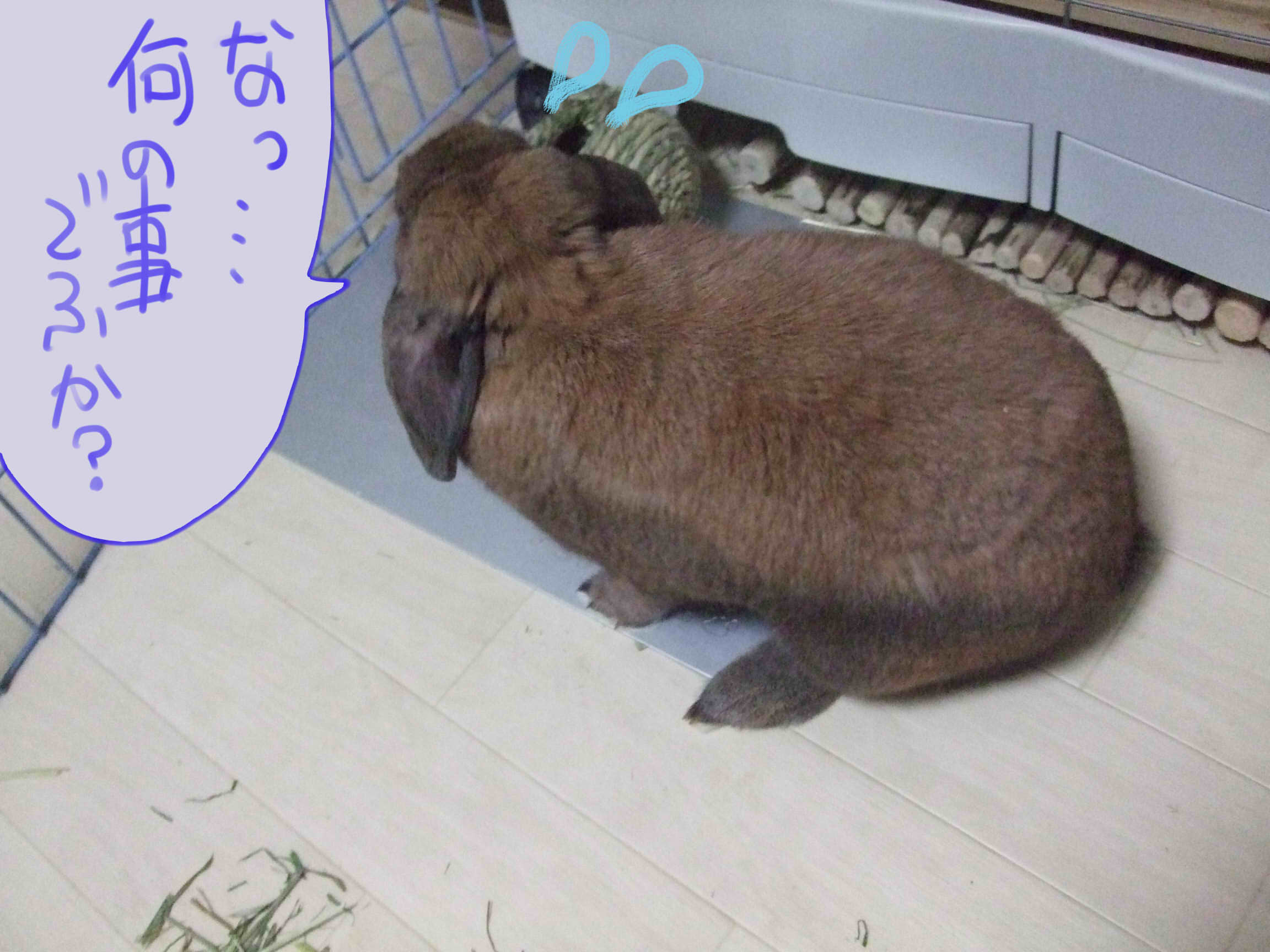 DSCF3898