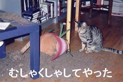 111_2