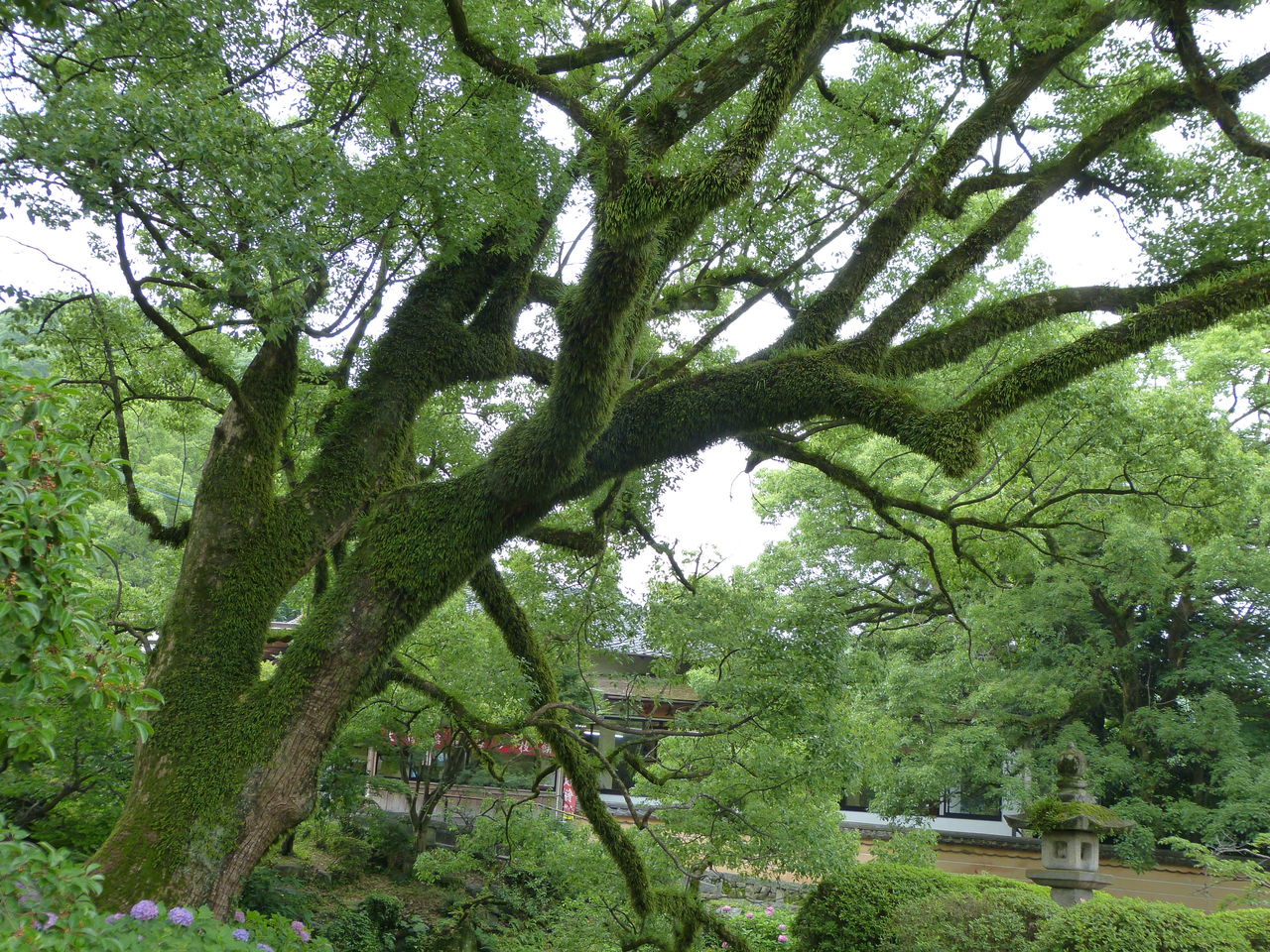 P1050053