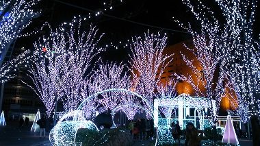 2012123003