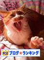 FC2��󥭥�