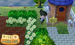 どうぶつの森 引っ越しテロ