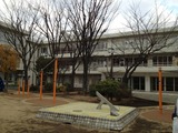 87476d50.jpg