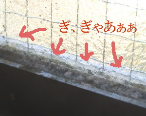 大掃除3
