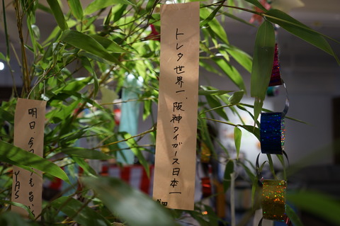 DSC00415
