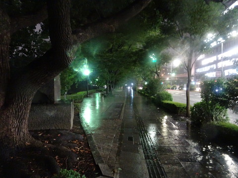 DSC03961