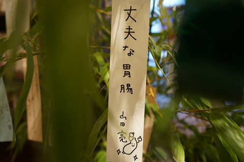 DSC00412