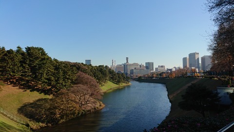 DSC_1181