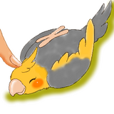9a6871fc.png