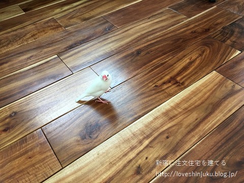 ファイル_000 (2)