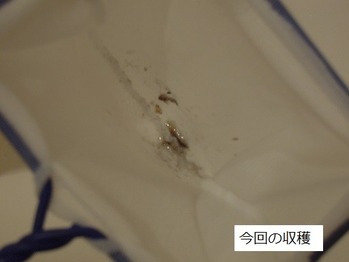 DSCN6567