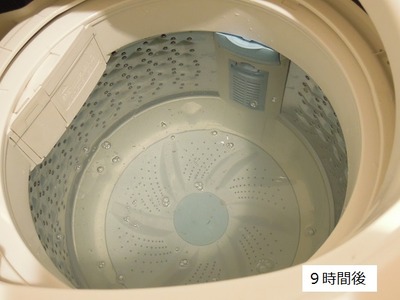 DSCN6566