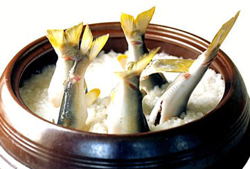 ayu
