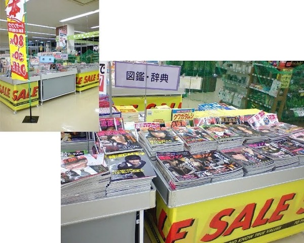 suitai3