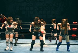 sdk13