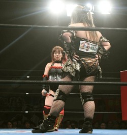 miyacocohamuko