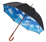 umbrella