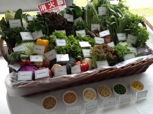 20120421_5