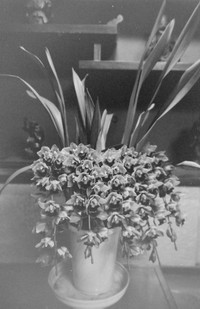 100121_PICT0019