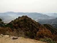 IMG_0291_20111128