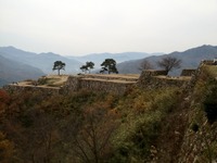 IMG_0316_20111128