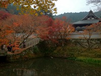 IMG_0385_20111128
