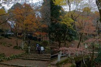 IMG_0348_20111128