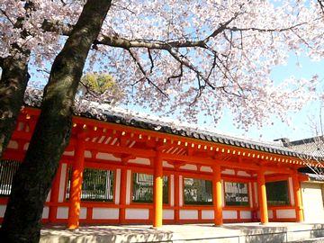 京都観光 三十三間堂へ行く 桜と青柳とお釈迦様 京都のｂａｒオーナーが紹介する京都ブログ 京都 木屋町 先斗町 バー