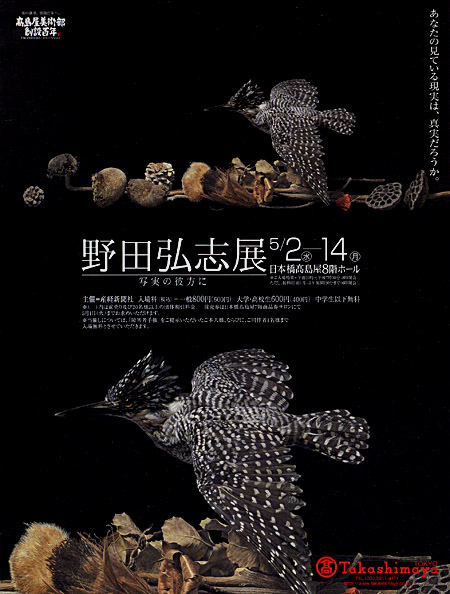 野田弘志展-写実の彼方に-」 : とーるブロ