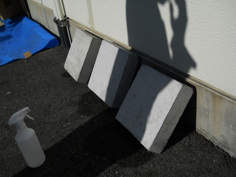 DSCN0134