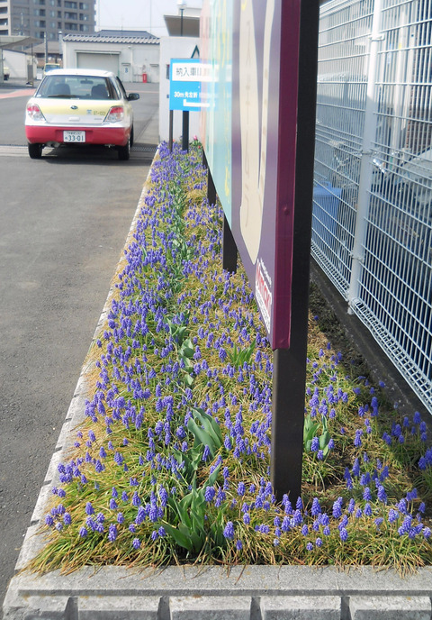 DSCN0261