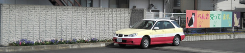 DSCN0252
