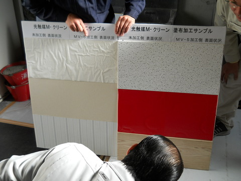 DSCN0131