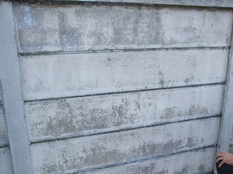 DSCF5523