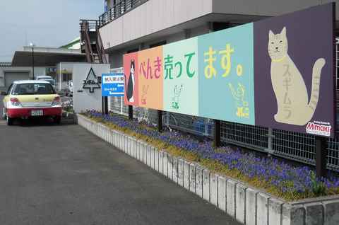 DSCN0255