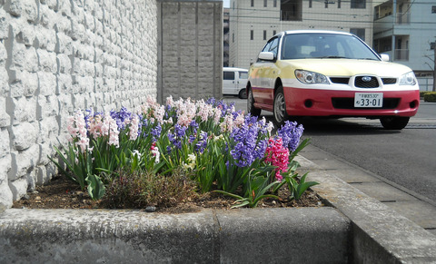 DSCN0263