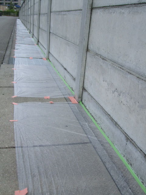 DSCF5529