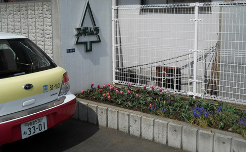 DSCN0254