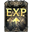 icon_item_expcard