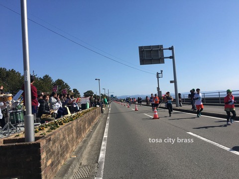 龍馬マラソン風景