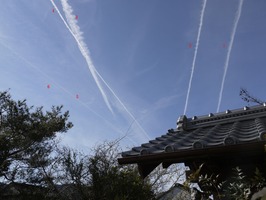 こんなに沢山???