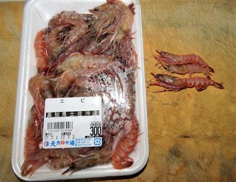 猿海老 (1)
