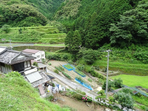 DSC03820