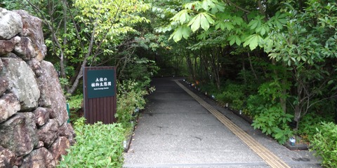 DSC01373