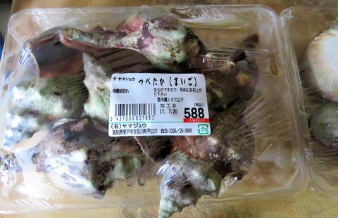 イボニシ