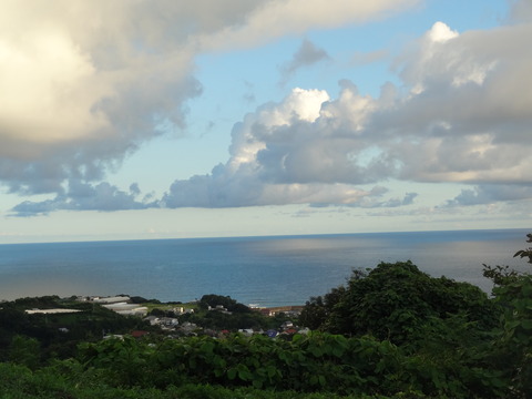 DSC04809