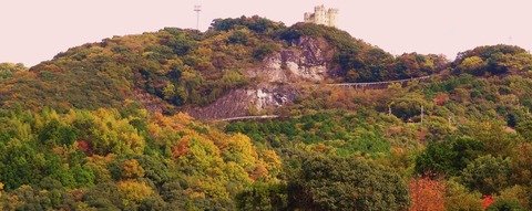 DSC00981
